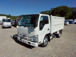 H21年　エルフ3ｔ 低床 強化 深ダンプ